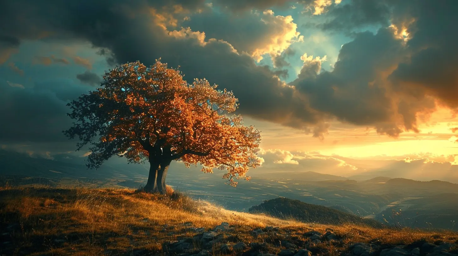 Mastering Low Light Photography: Best Gear for Stunning Shots