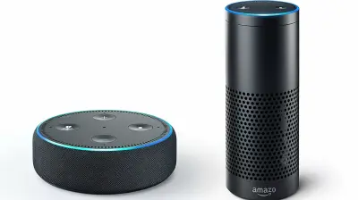 How Voice Assistants are Changing the Way We Shop Online