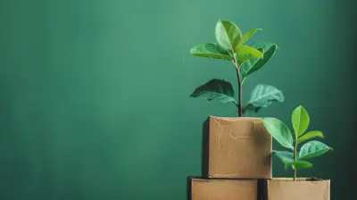 Sustainable Packaging The Tech Industrys Shift To Eco Friendly Materials