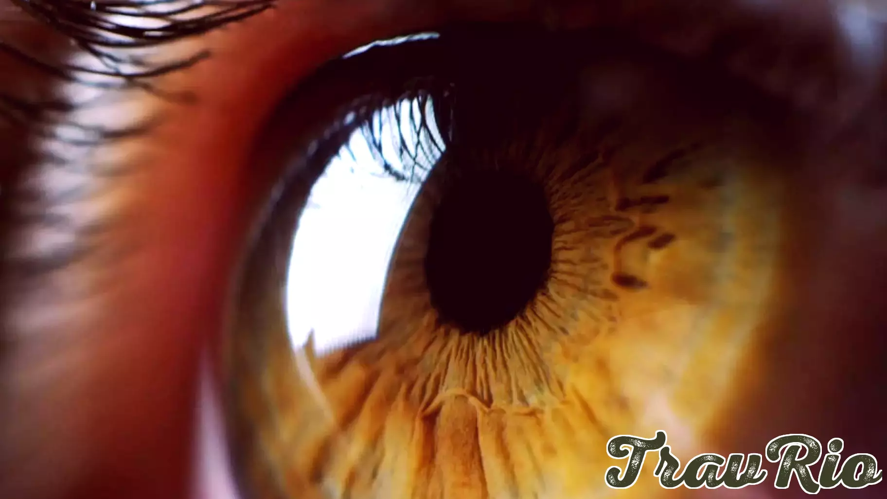 FDA Grants New Platform Technology Designation to Krystal's Gene Therapy for Neurotrophic Keratitis