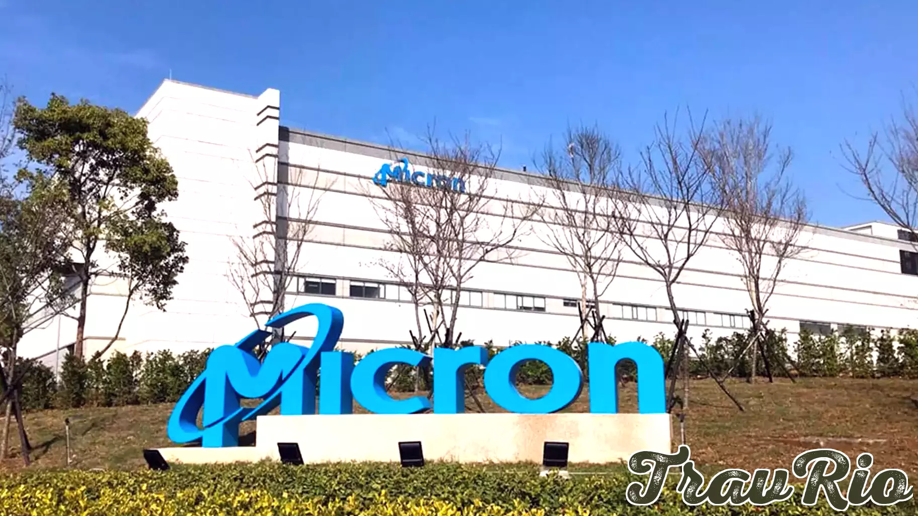 Is It Too Late to Buy Micron Technology Stock?