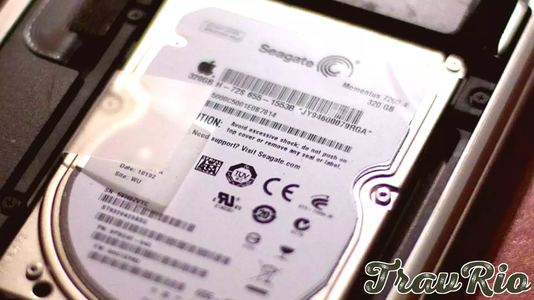 Seagate Technology Sees Positive Momentum Amid Analyst Upgrades