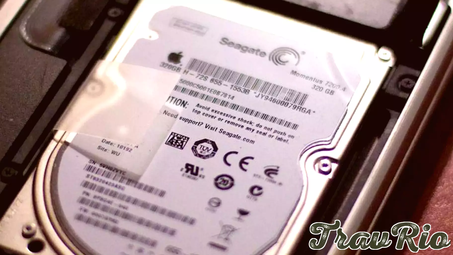 Seagate Technology's Innovations and Buybacks: A Game Changer for Long-Term Storage Leadership?