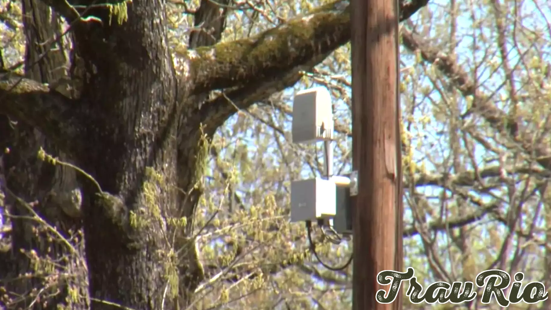 ShotSpotter technology to stay after Little Rock city board approves renewal