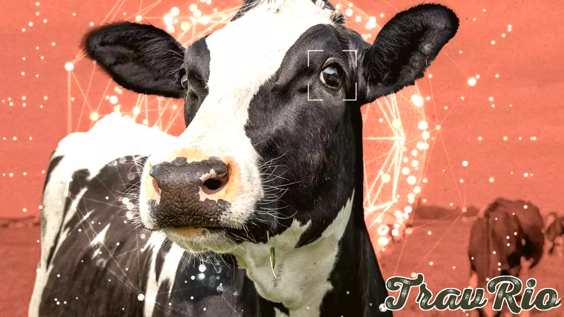 The Bay Area’s animal welfare movement wants to recruit AI