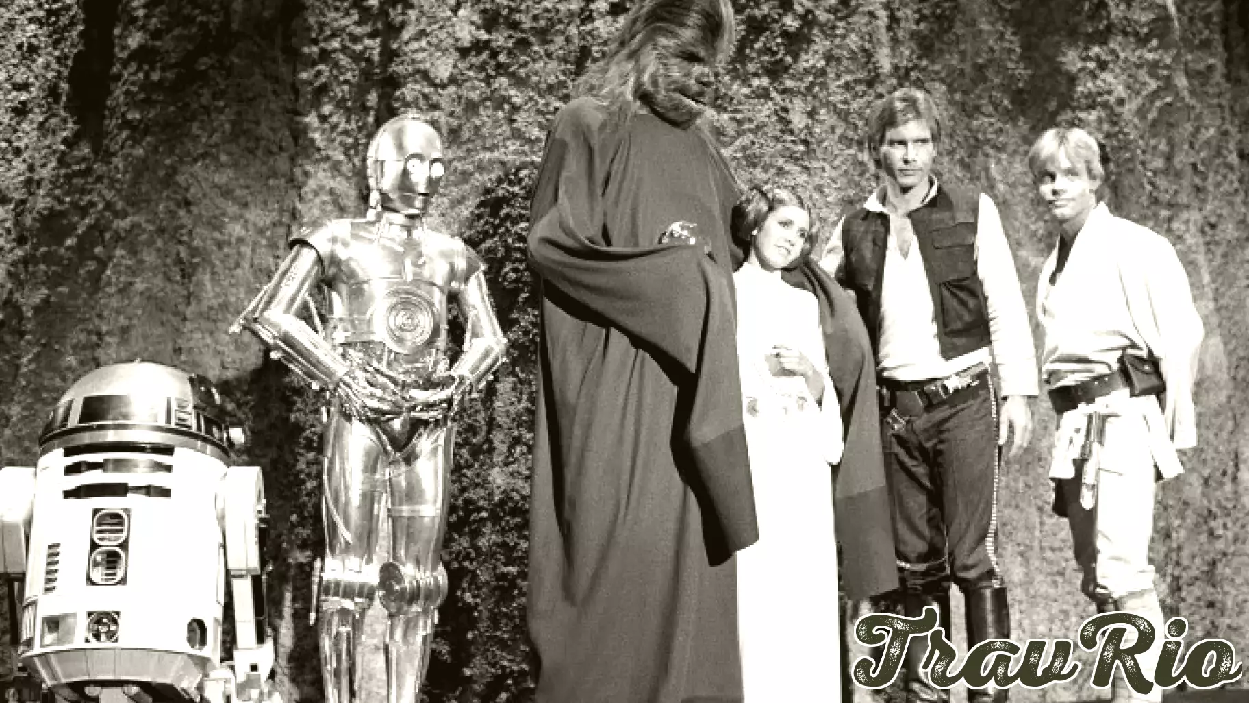 Unraveling the Paradox of Originality in Fashion and Beyond