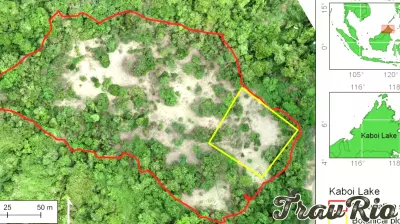 Affordable Drone Technology Offers Hope for Community Forest Restoration