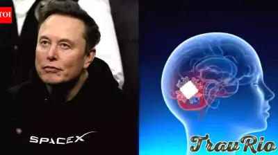 China beats Elon Musk's 'Jesus-level technology' to launch world's first commercial brain chip