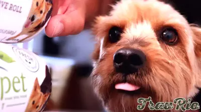 Is Align Technology (ALGN) Pricing Reflect Its Recovery Story In Clear Aligners And Digital Dentistry