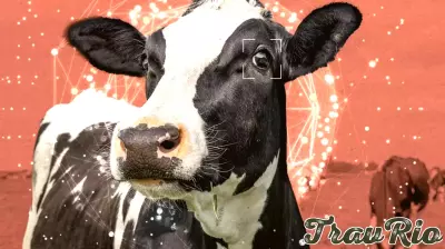 The Bay Area’s animal welfare movement wants to recruit AI