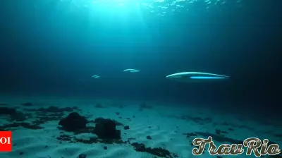 US News: Thousands of Unidentified Submersible Objects Discovered Near Coastlines